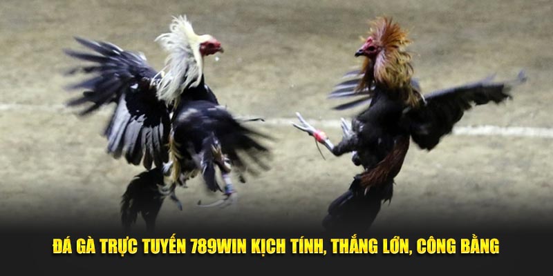 Đá Gà Trực Tuyến 789Win - Hồi Hộp Với Mỗi Cuộc Đọ Sức